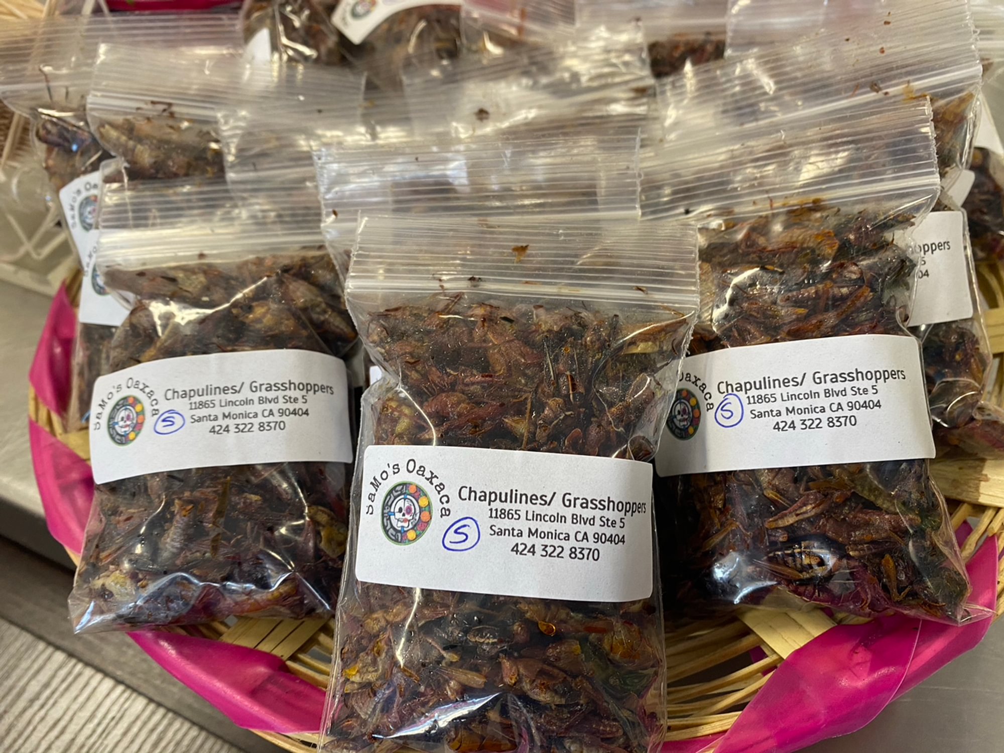 Grasshoppers/ Chapulines
