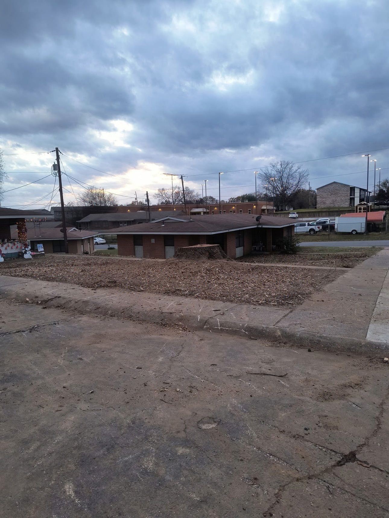 Plyler's Tree Service Image