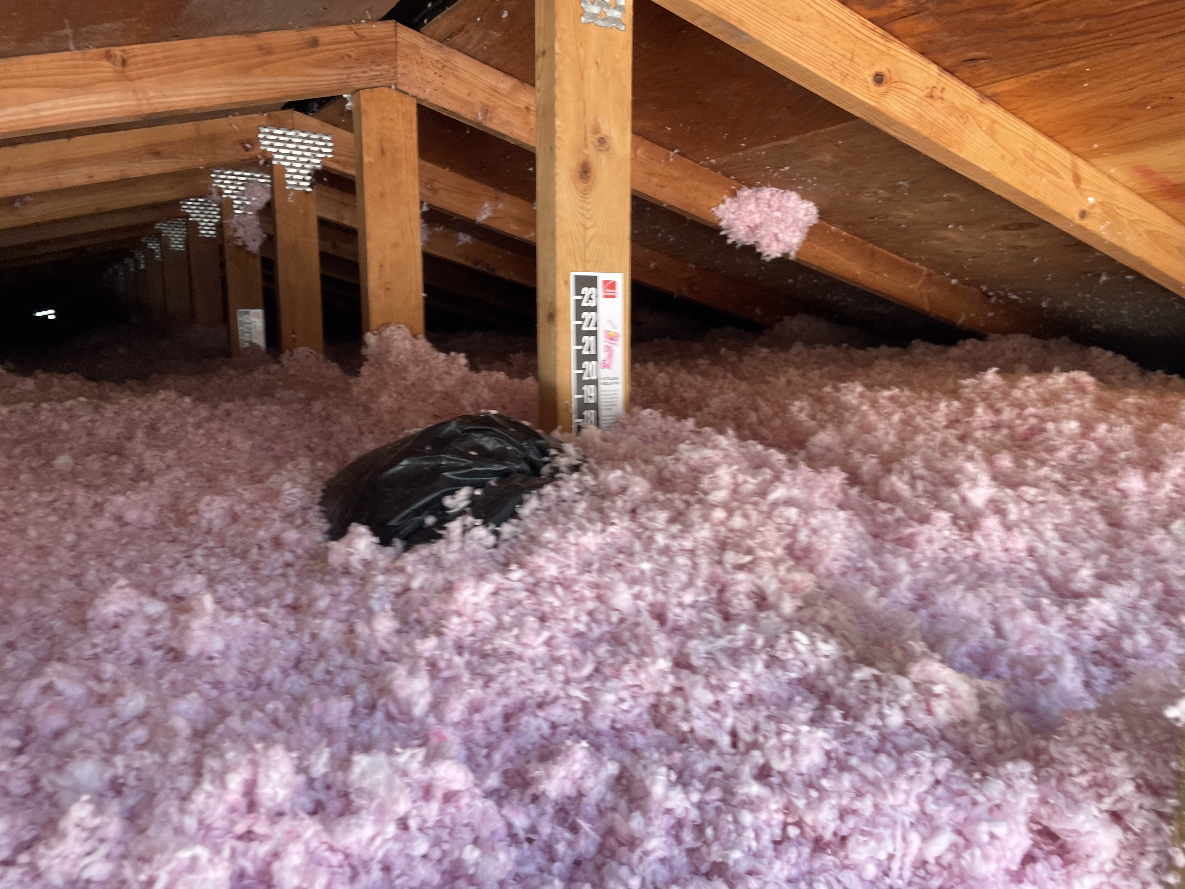 USA Insulation of North Puget Sound Image