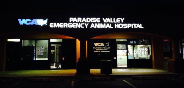 download emergency animal hospital download emergency animal hospital