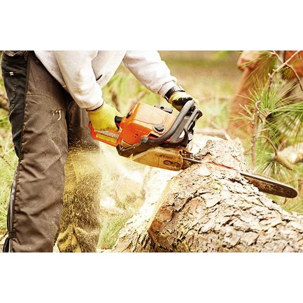 Town &amp; Country Tree Services, LLC Logo