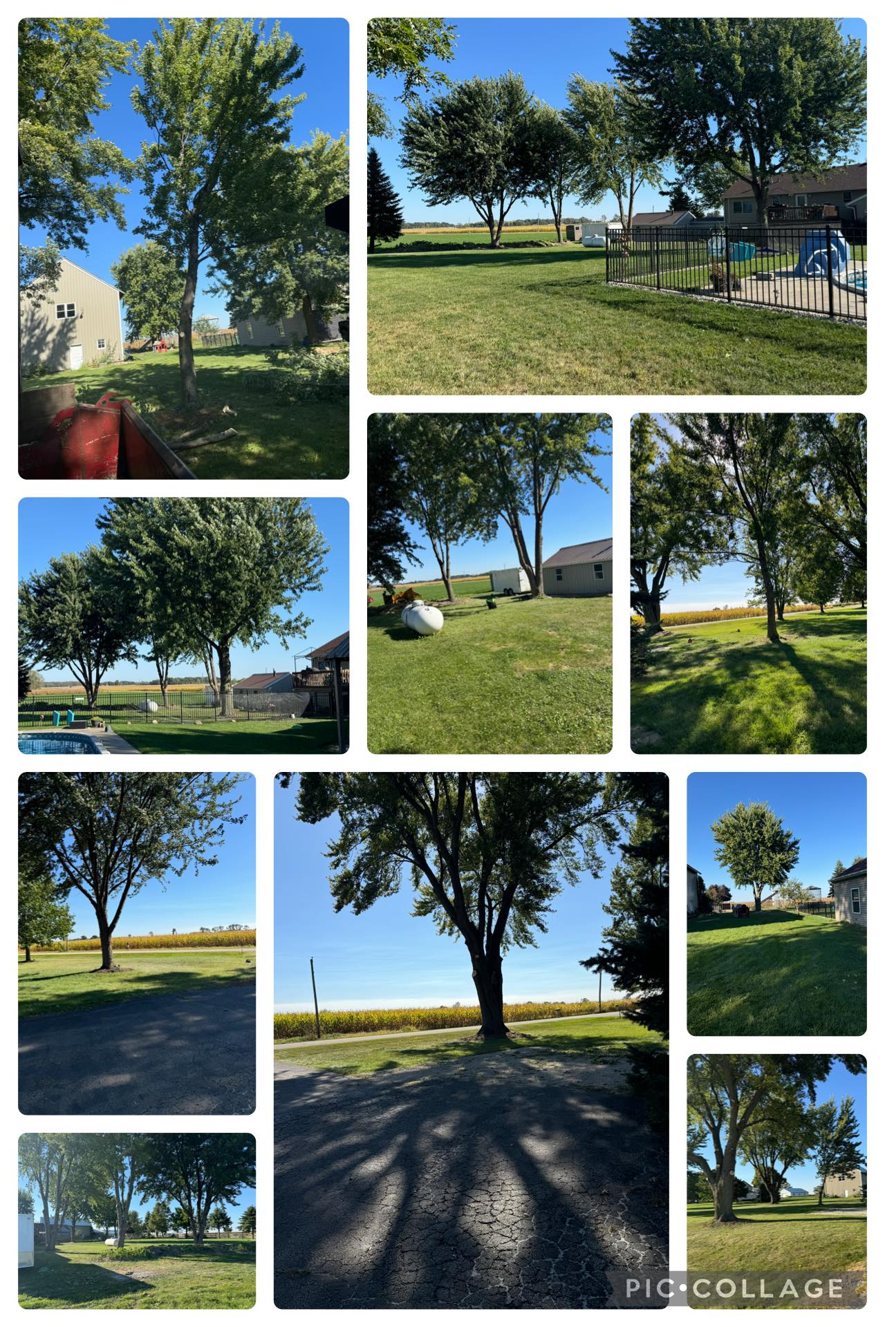 T’s Tree Service Image