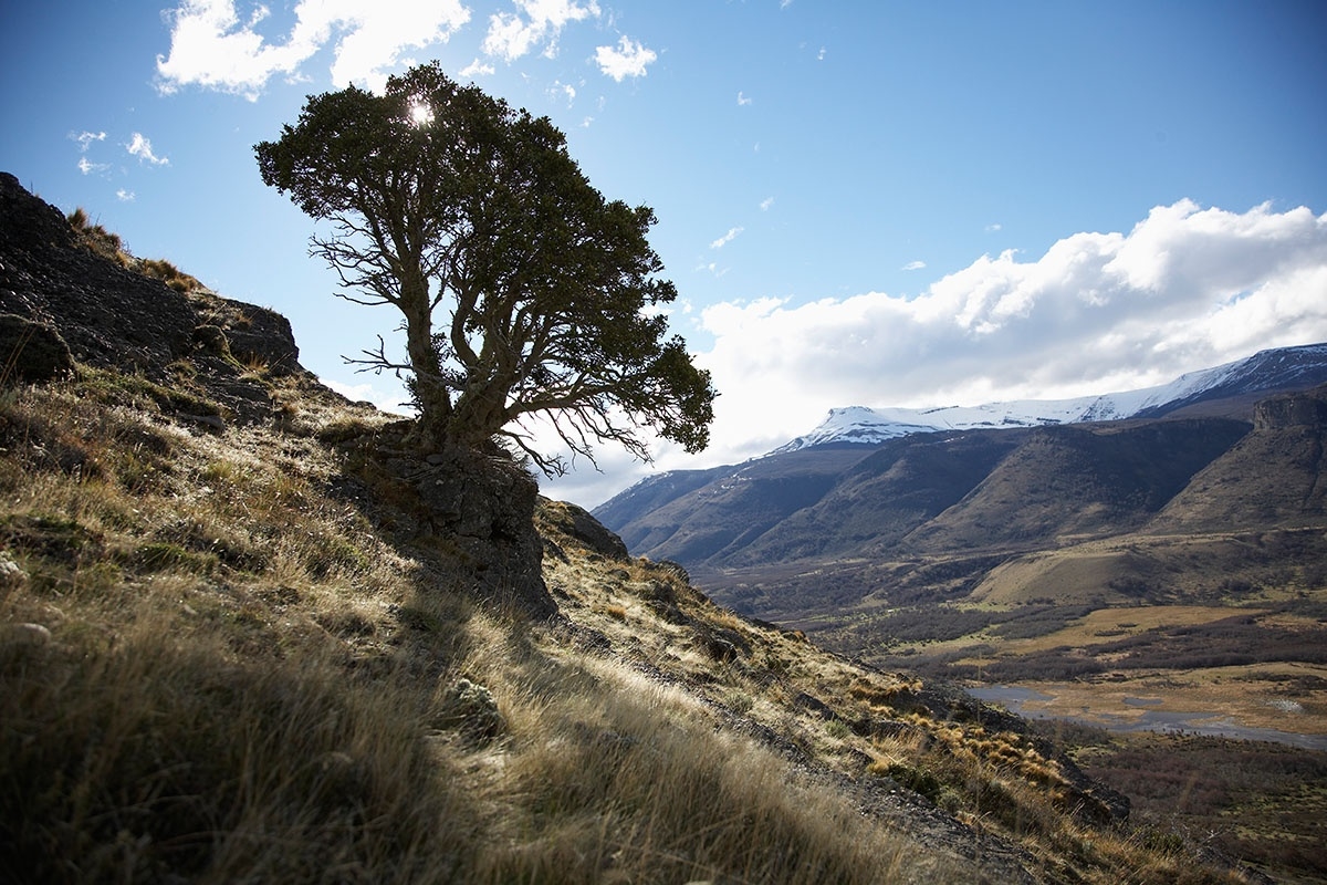 Grace Counseling: Barbara G. Backes M.S.,LPC,PA Image