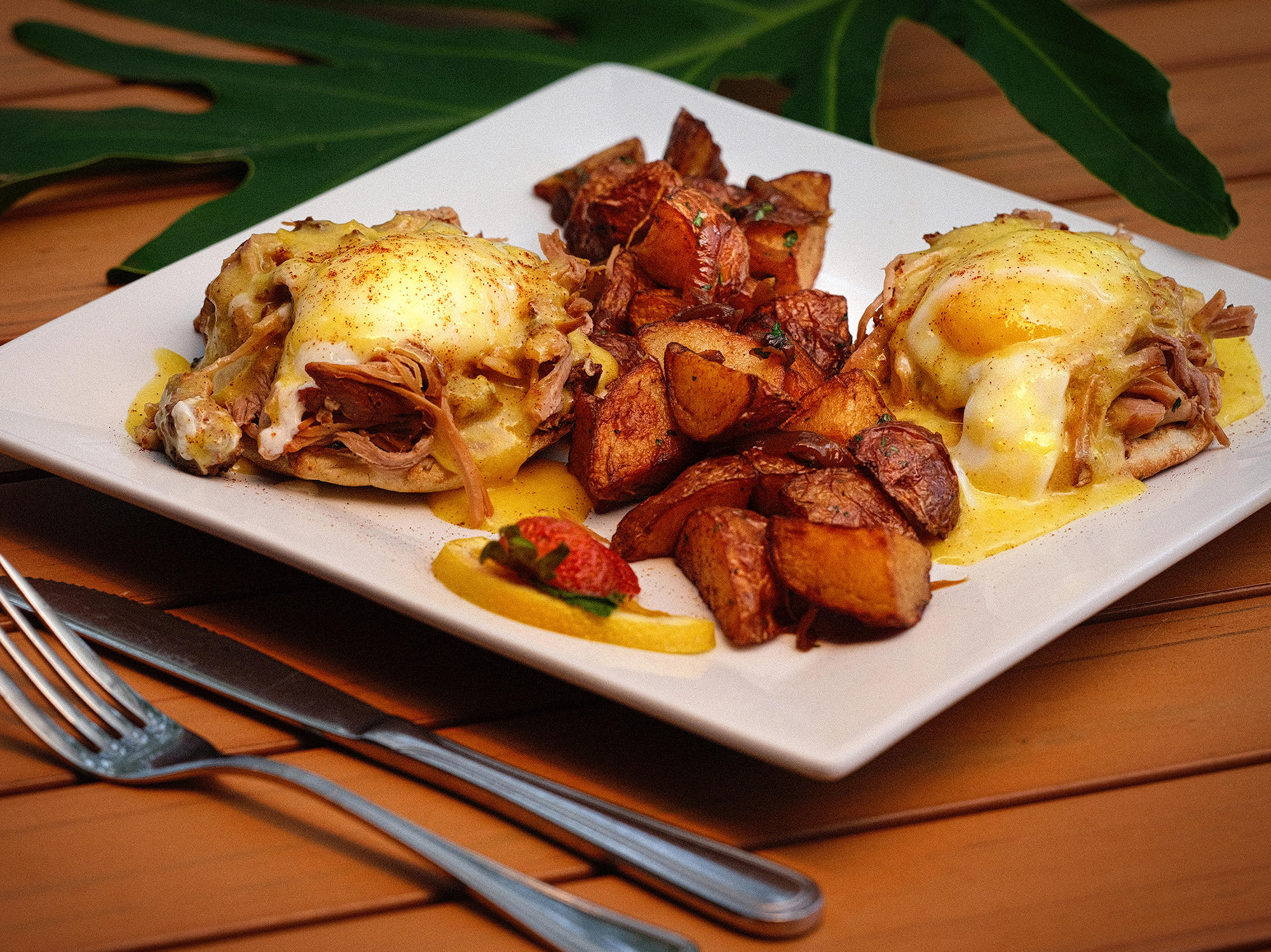 HAVANA DREAM BENEDICT
