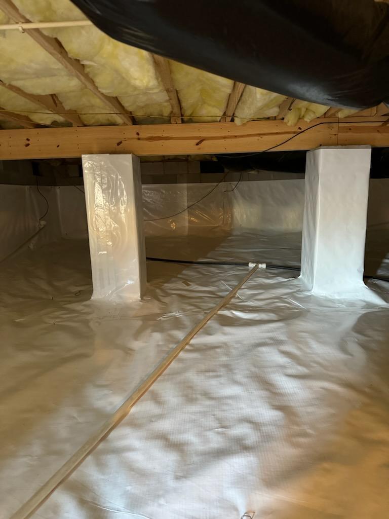 GreenShield Home & Pest Solutions - Richmond Image