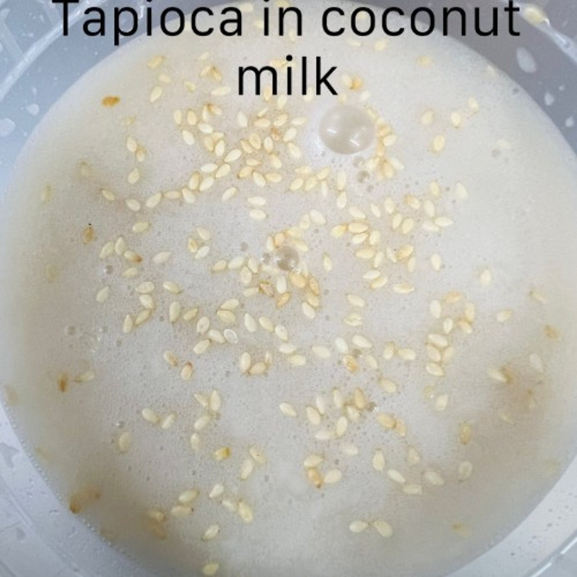 Tapioca in Coconut Milk