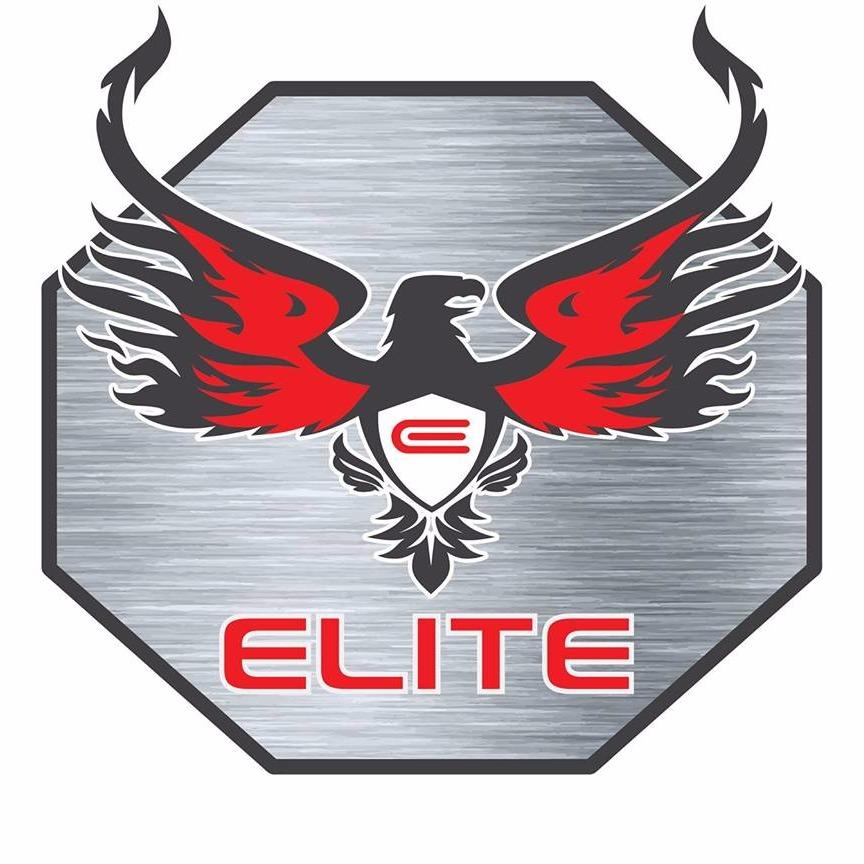 The Elite Total Car Care Logo