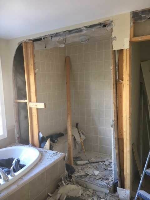 Images 5 Lion Demolition Service