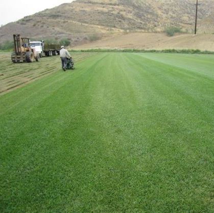 Valley Sod Farms Inc Photo