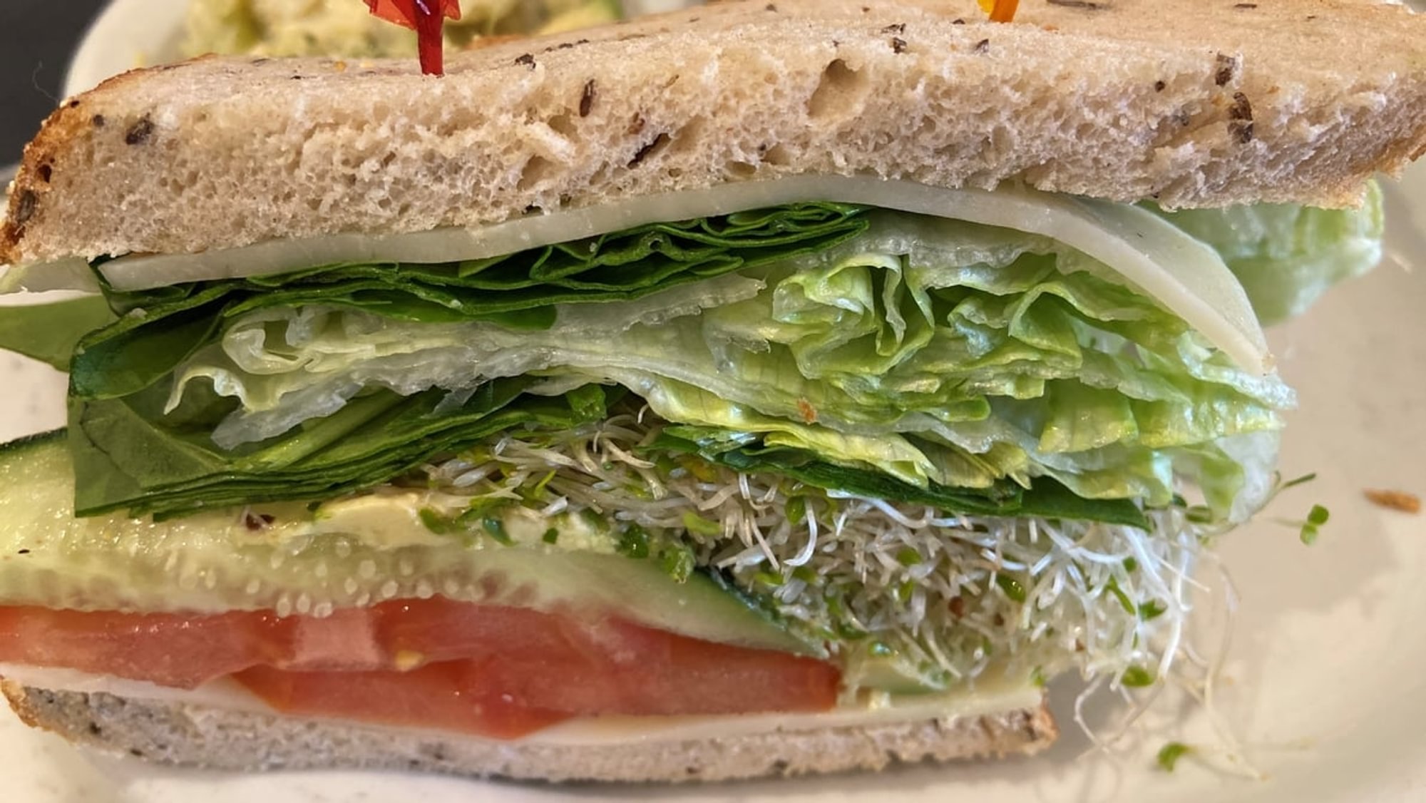 Vegetarian Sandwich