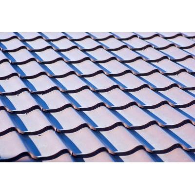Ed's Tile & Shingle Roof Cleaning
