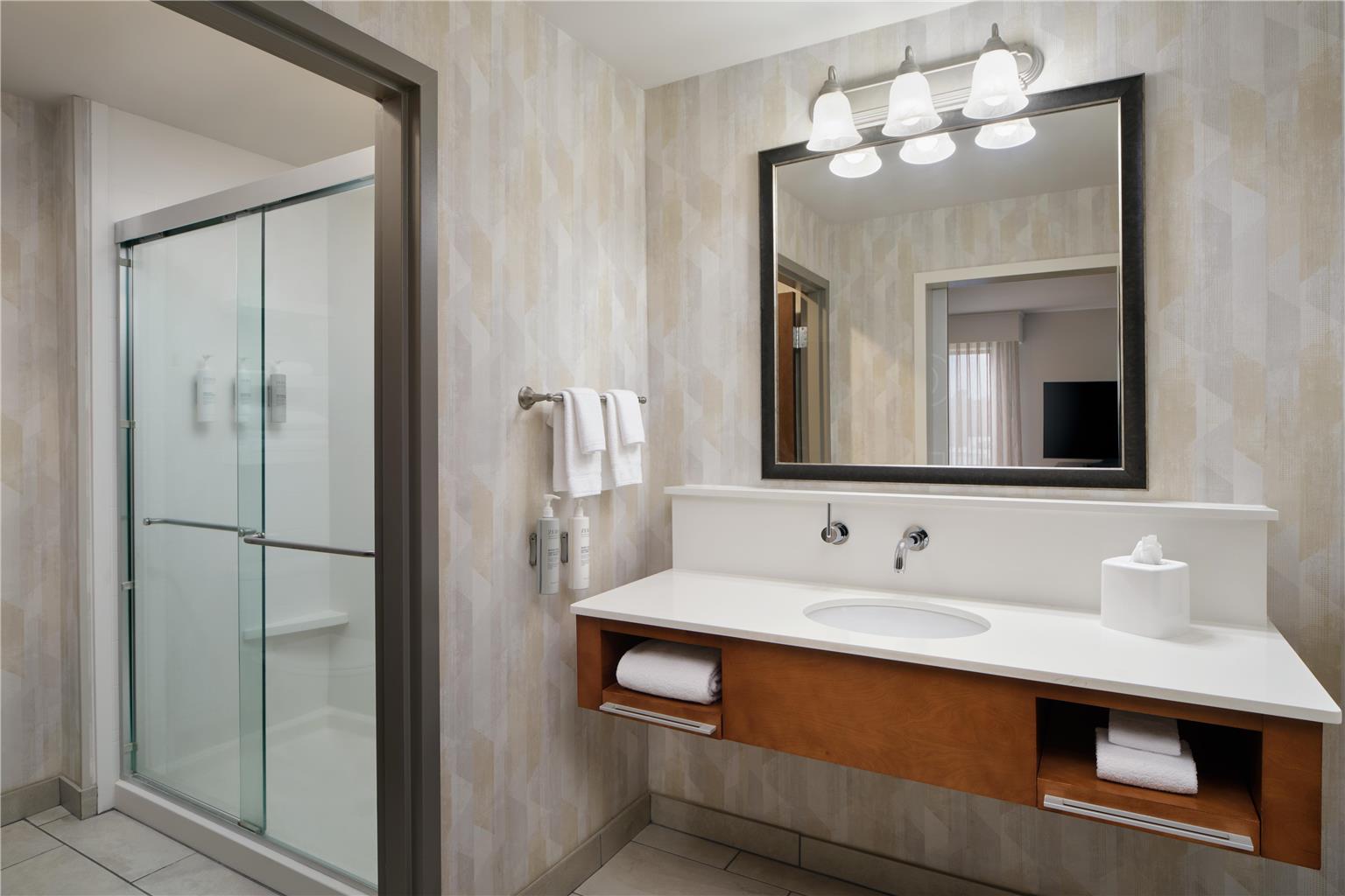 Hampton Inn Waynesboro Image