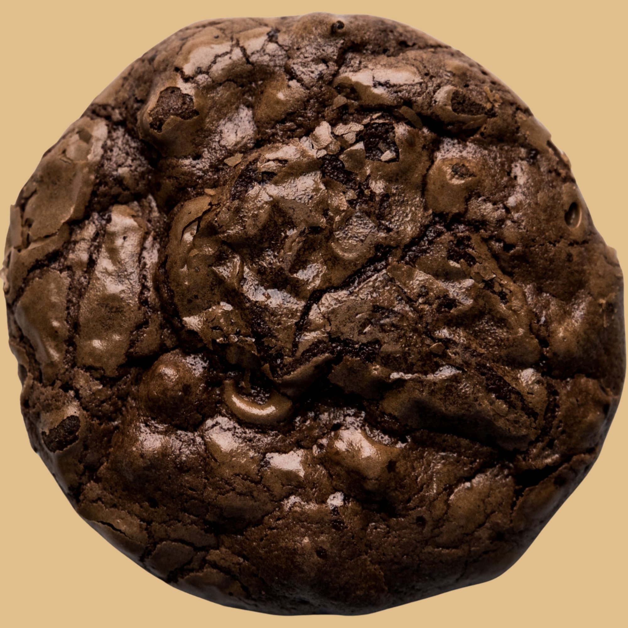 Fresh Baked Brownie