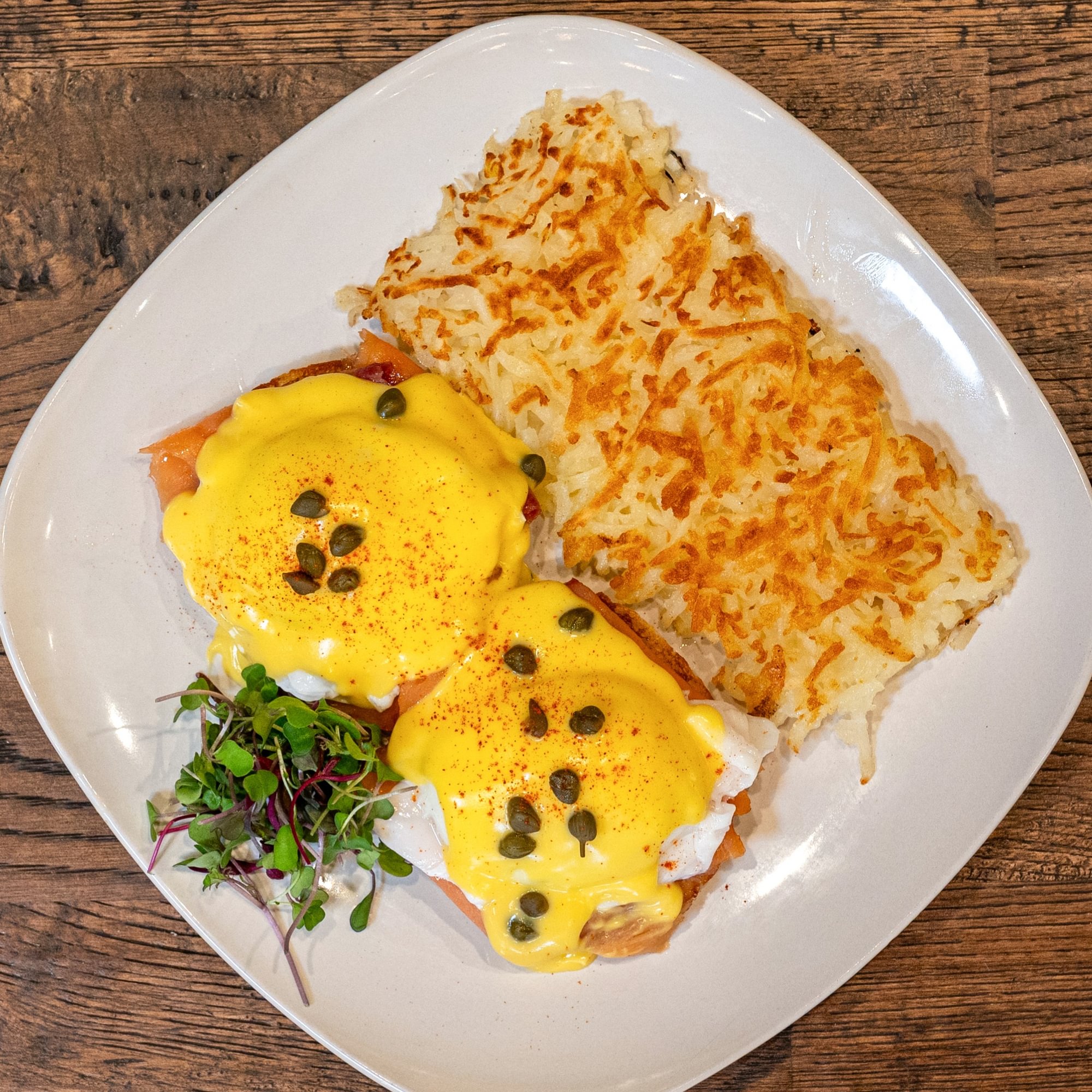 Nova Lox Benny