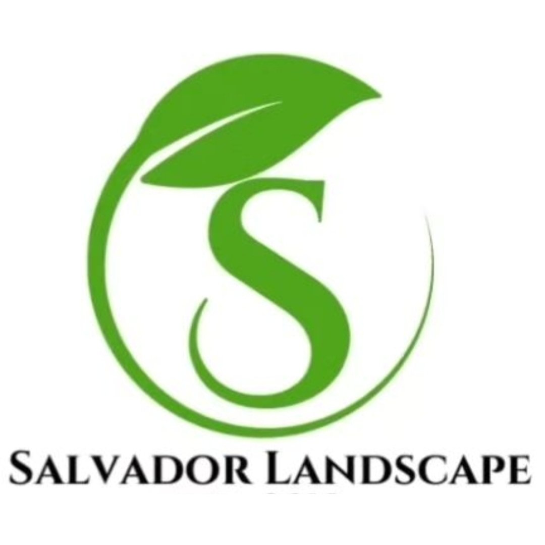 Salvador Landscape Logo