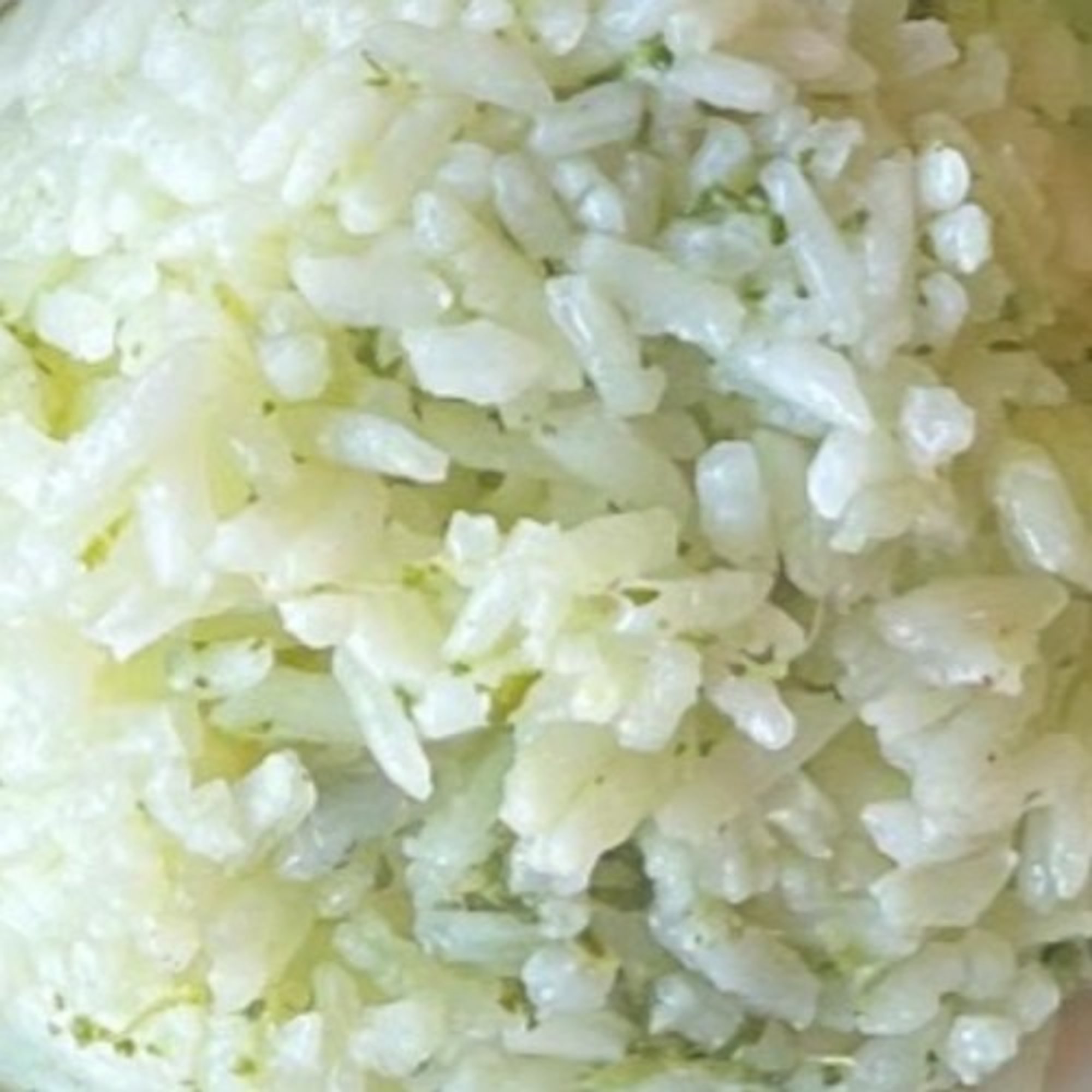 Cilantro Rice 16oz