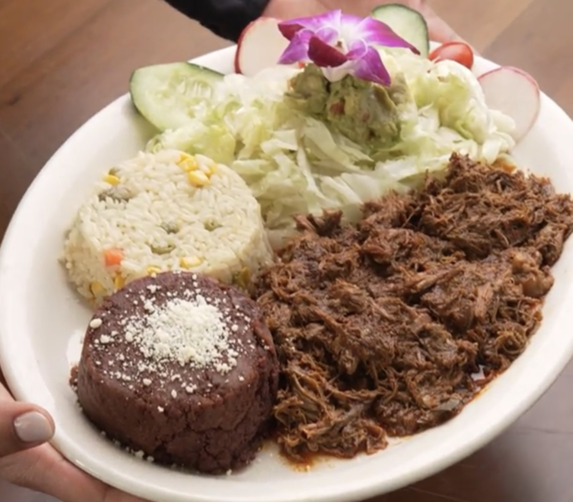 Birria Platillo (Frijoles, Arroz y Ensalada)