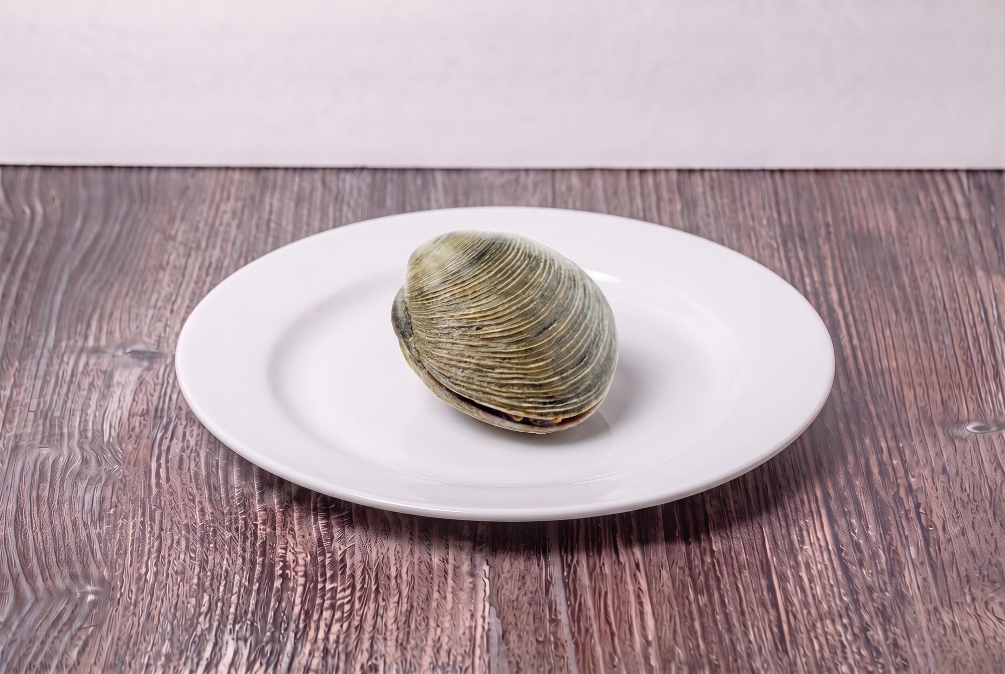 Clam 1 lb