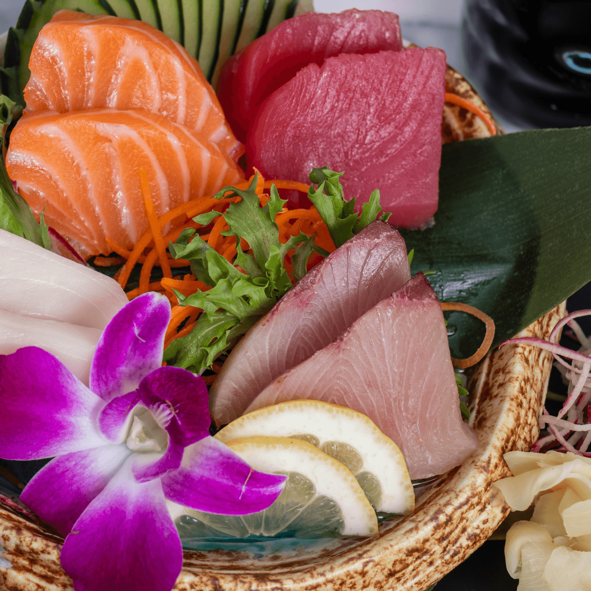 Tsy Sashimi (r)