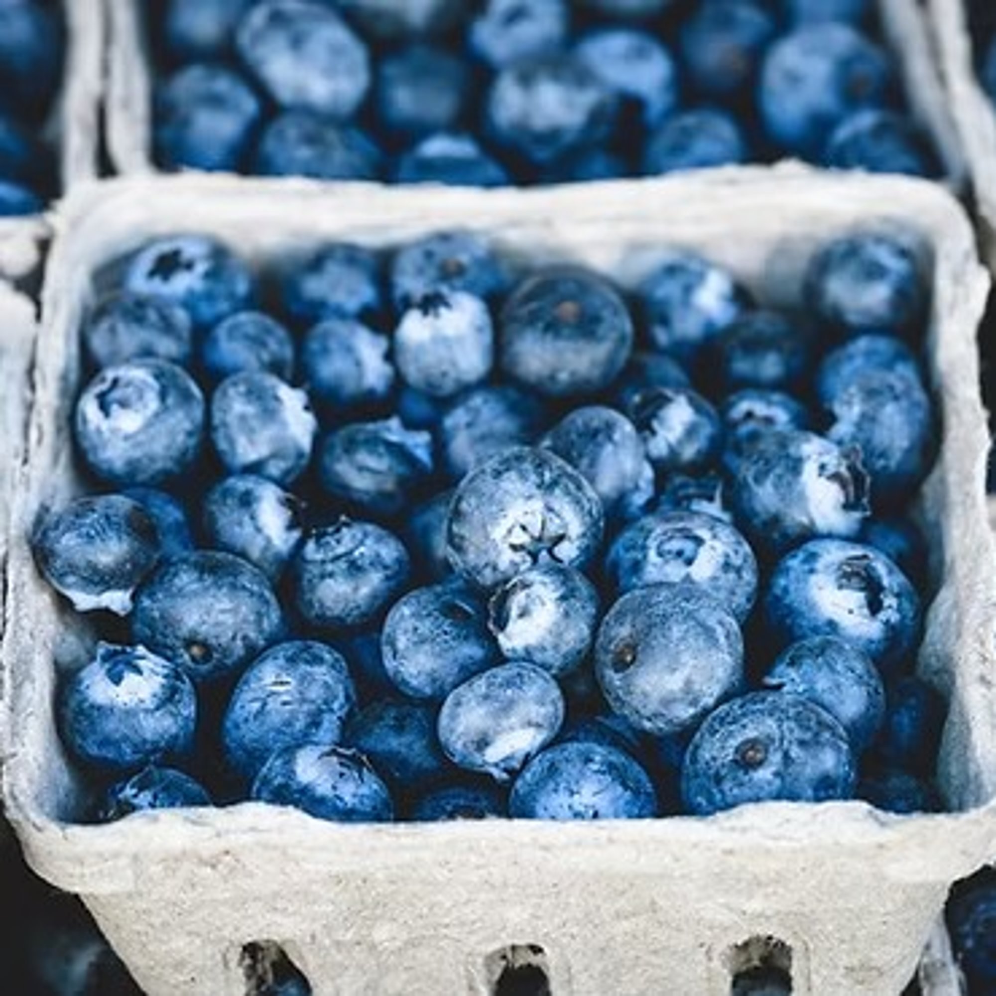 Wild Blueberry Dark Balsamic