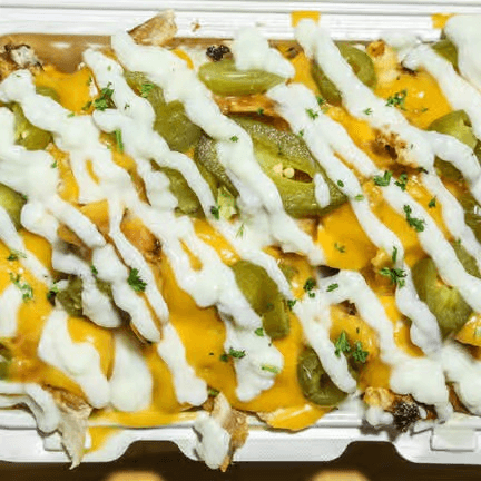 Loaded Fries Plate