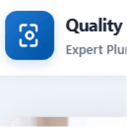 Quality Plumbers Chicago