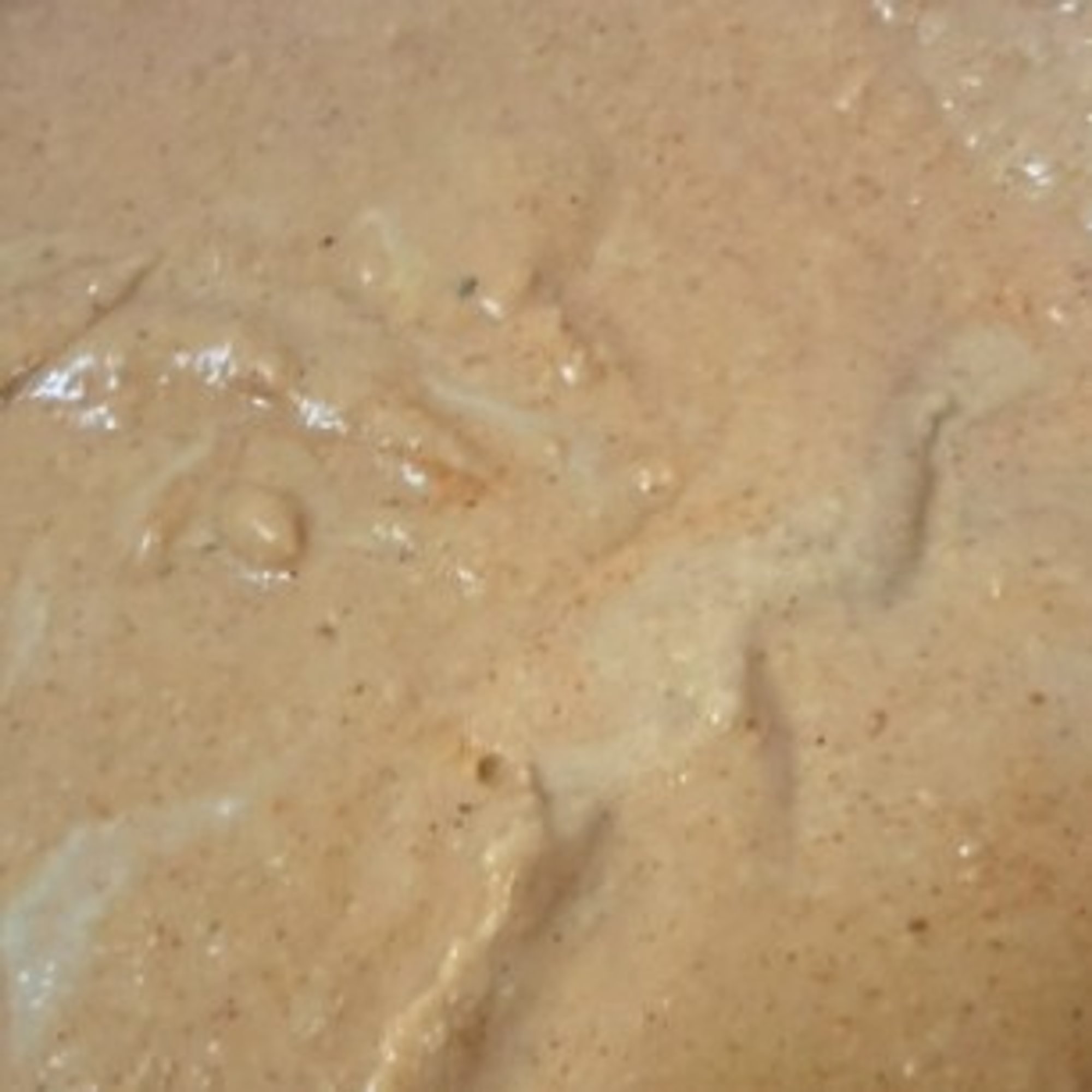 Flavored Hummus