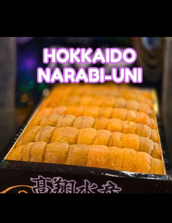 Hokkaido Uni**