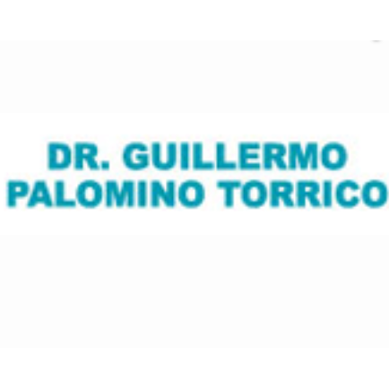 Palomino Torrico Wilfredo Guillermo Arequipa