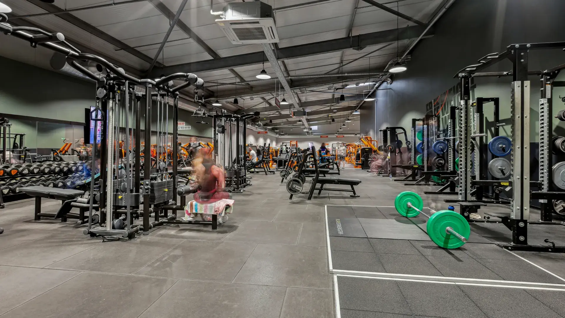 Miniature de la galerie