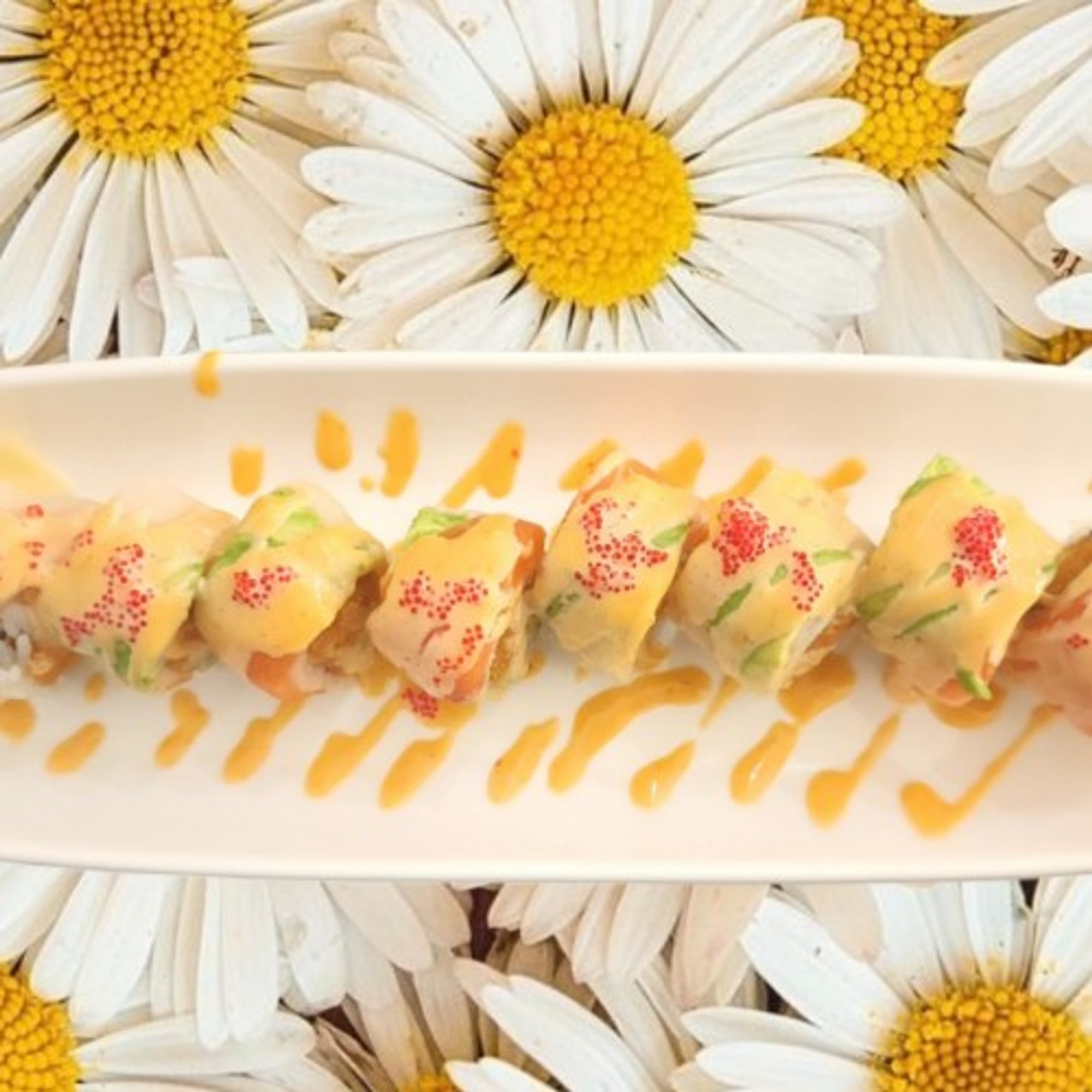 Ocean Roll