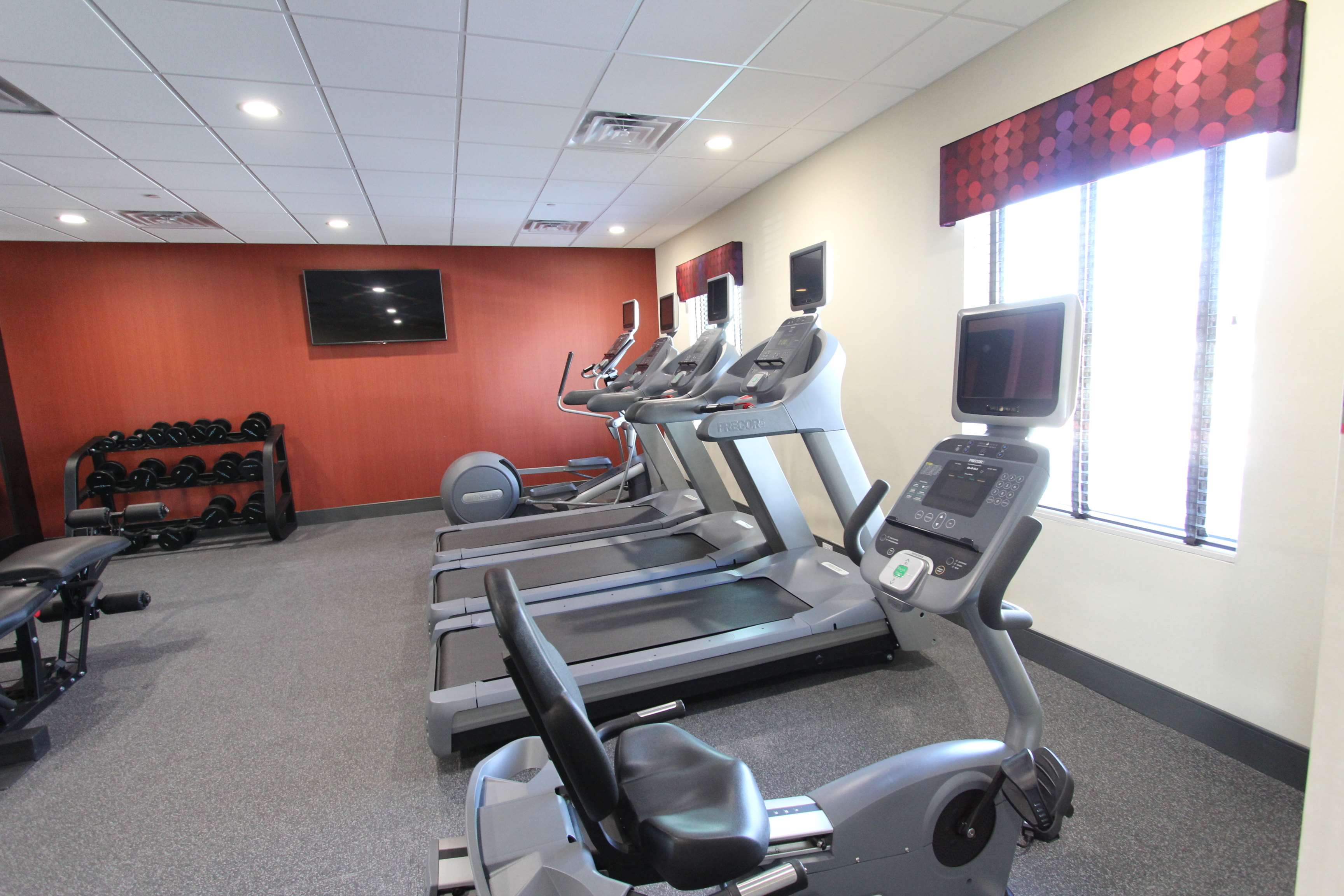 Health club  fitness center  gym