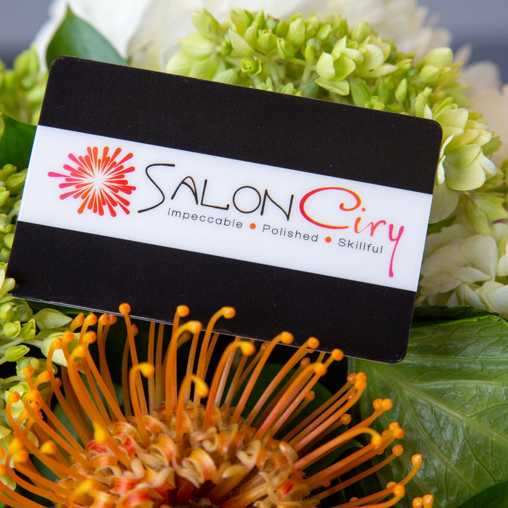 Salon Ciry Photo