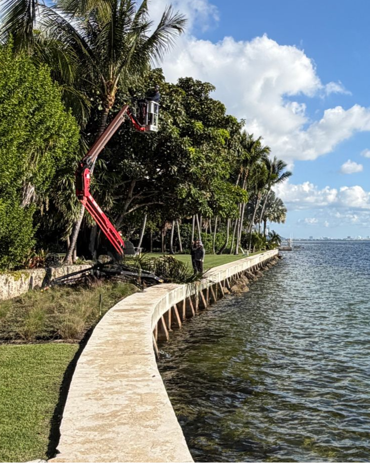 Grove Tree Service & Landscaping Image