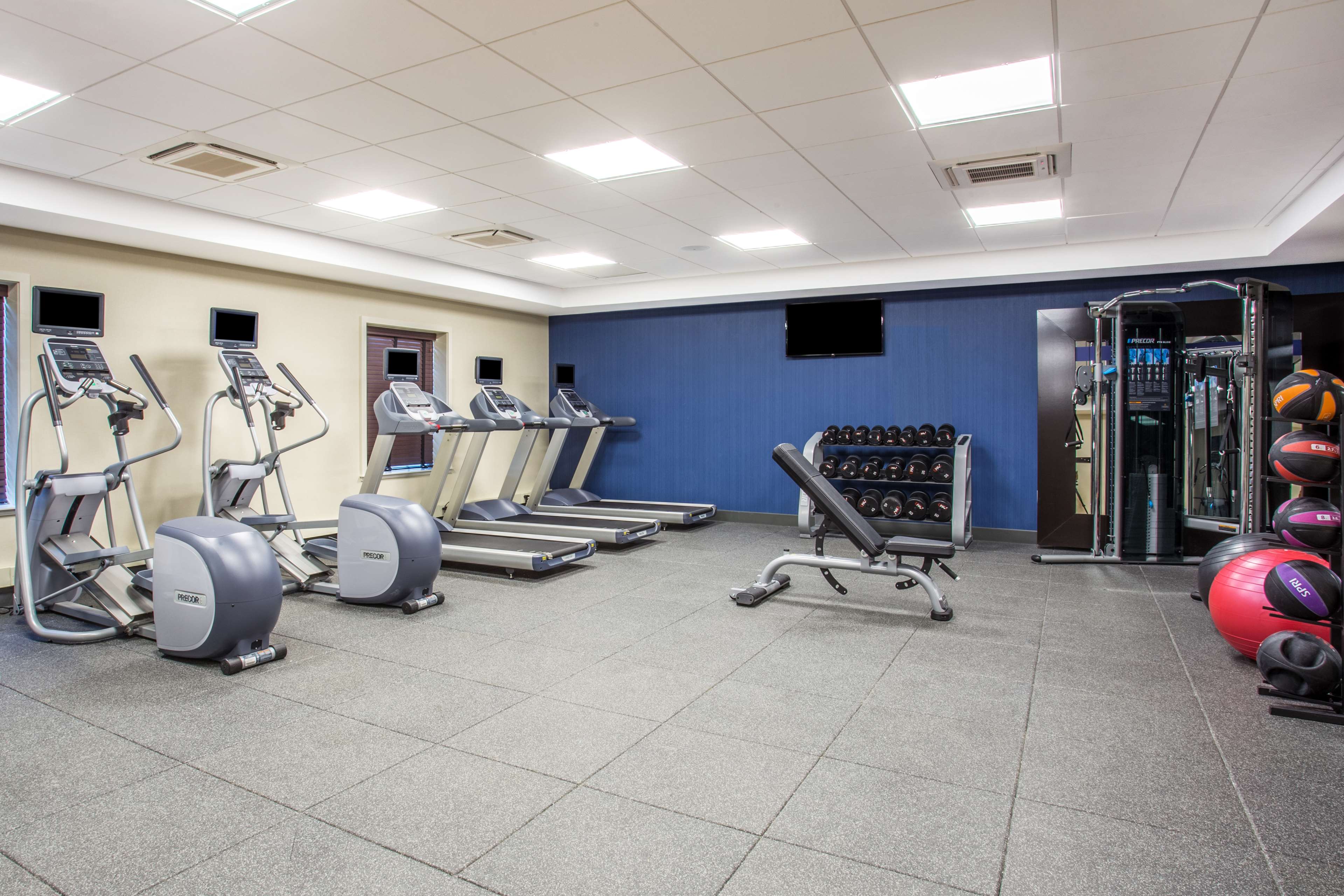 Health club  fitness center  gym