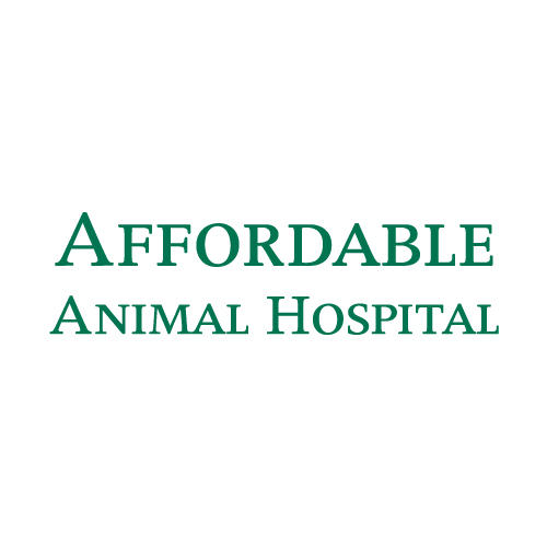Affordable Animal Hospital Photo