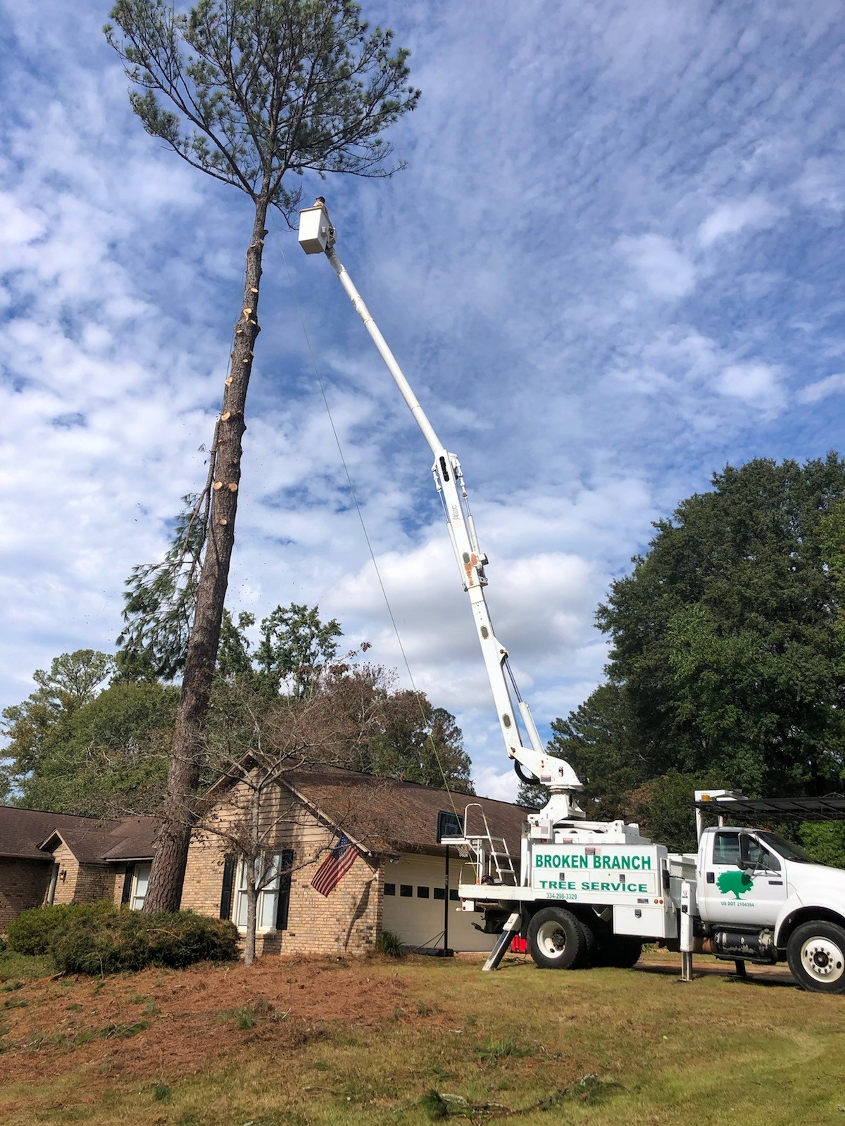 Broken Branch Tree Service LLC Image