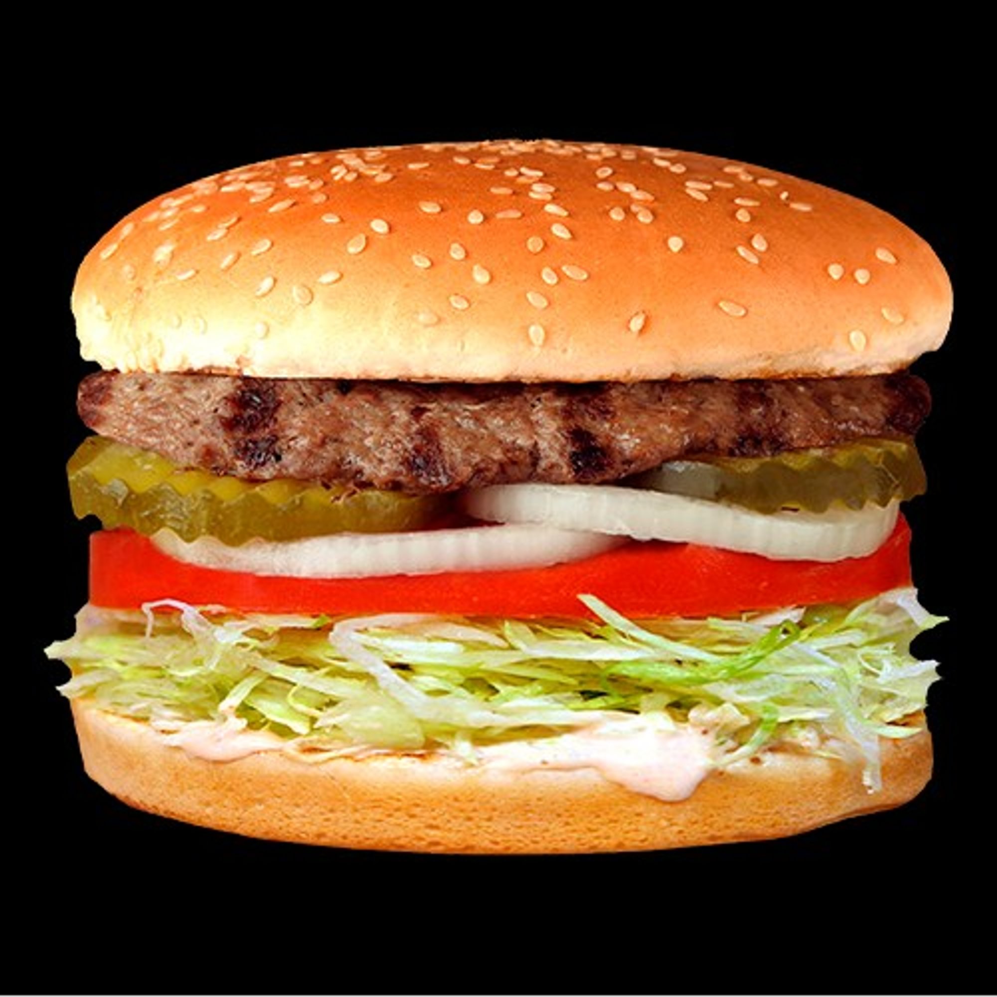 Hamburger