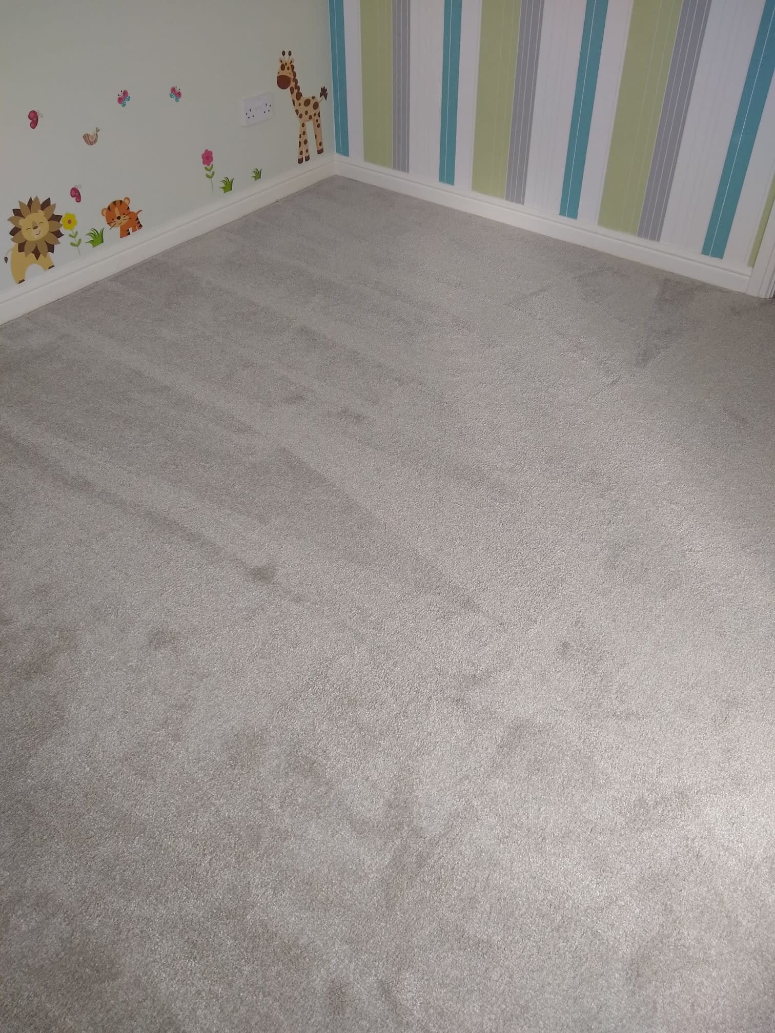 Images White Rose Carpets Ltd