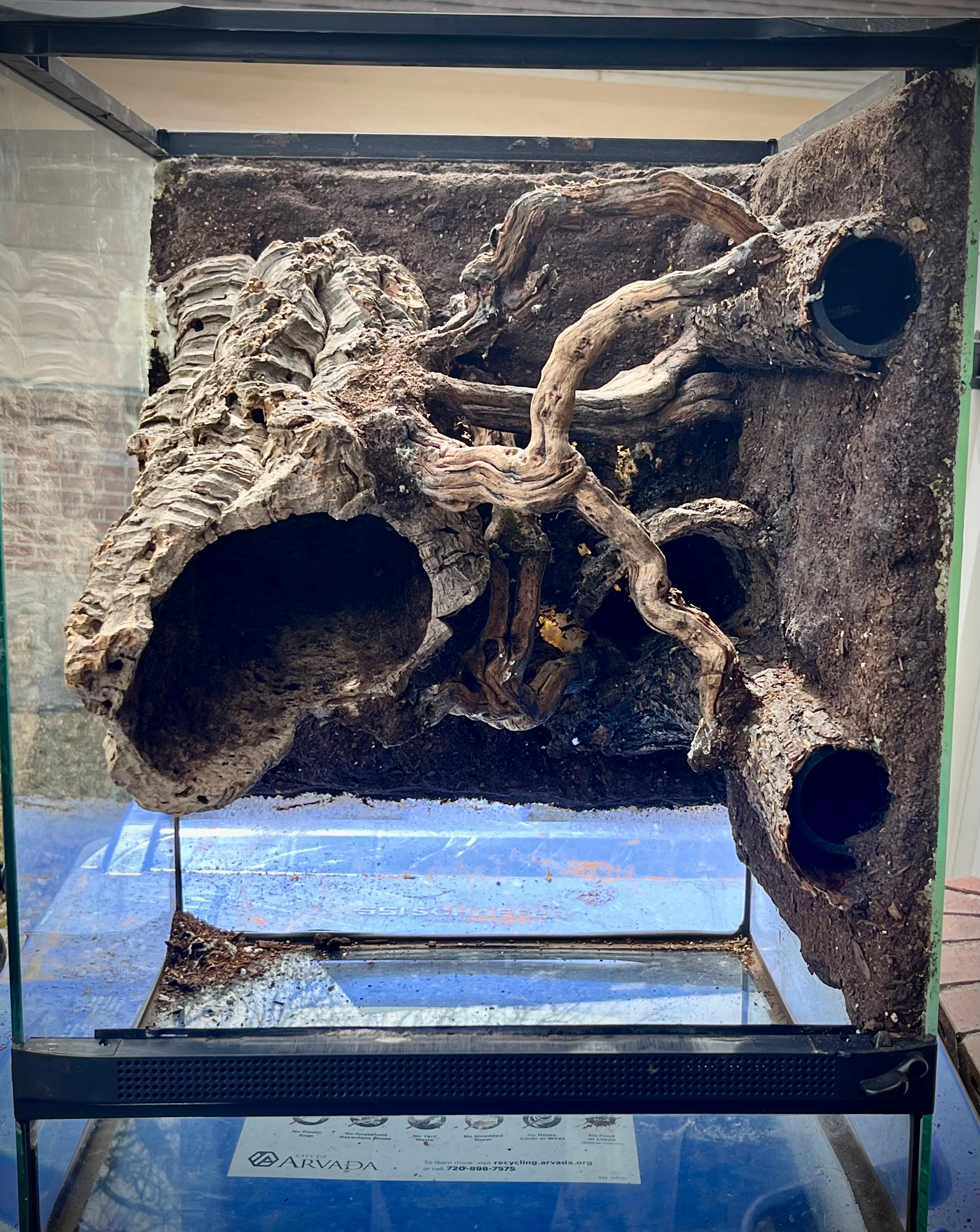 Terrarium Station Image