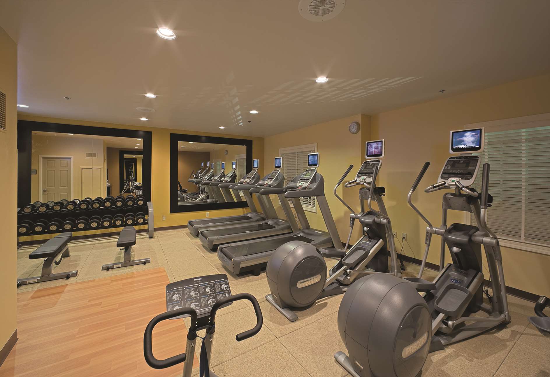 Health club  fitness center  gym