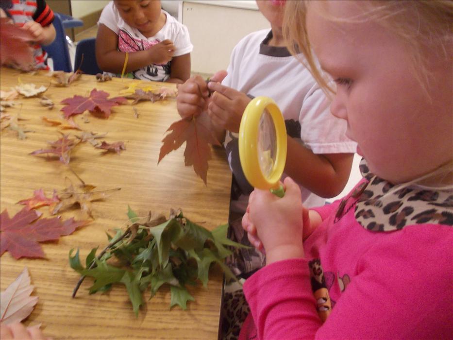 Hendersonville KinderCare Photo