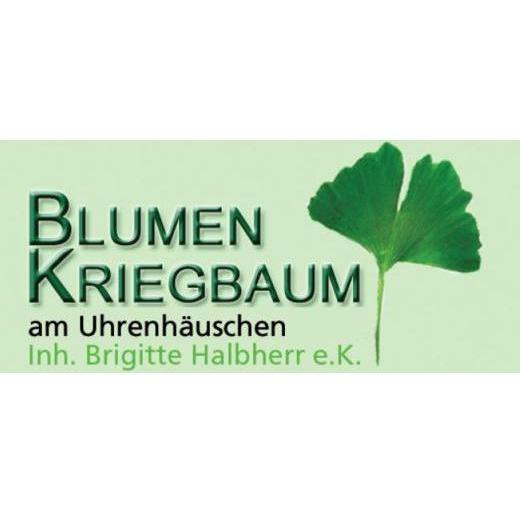 Logo von Blumen Kriegbaum