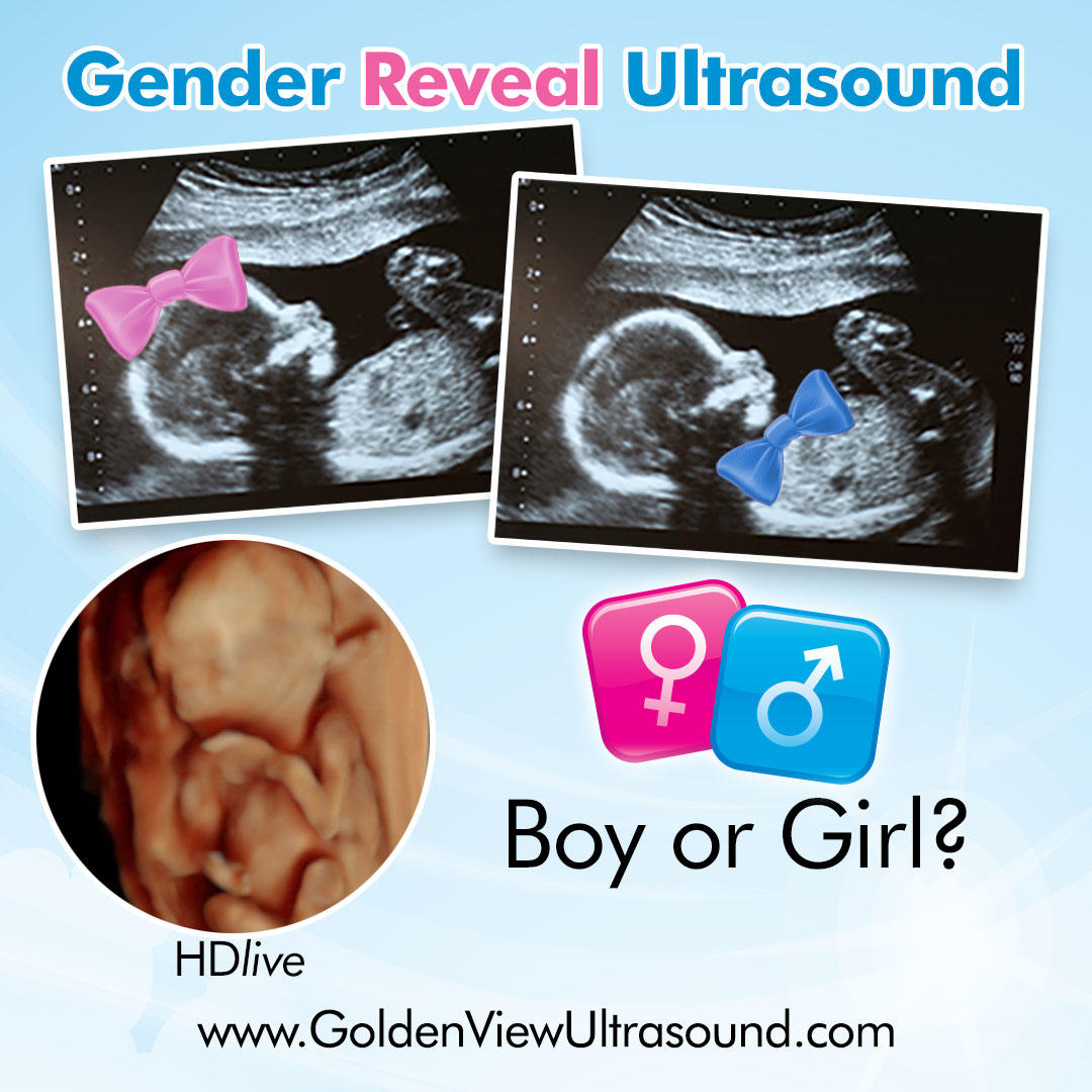 GoldenView Ultrasound Boston 3d/4d Ultrasound with HDLive and Ealry Gender Determination using Ultrasound starting at 15 weeks.  Find out if you are having a boy or girl with an Ultrasound and get beautiful images and video of your baby in the womb to treasure.