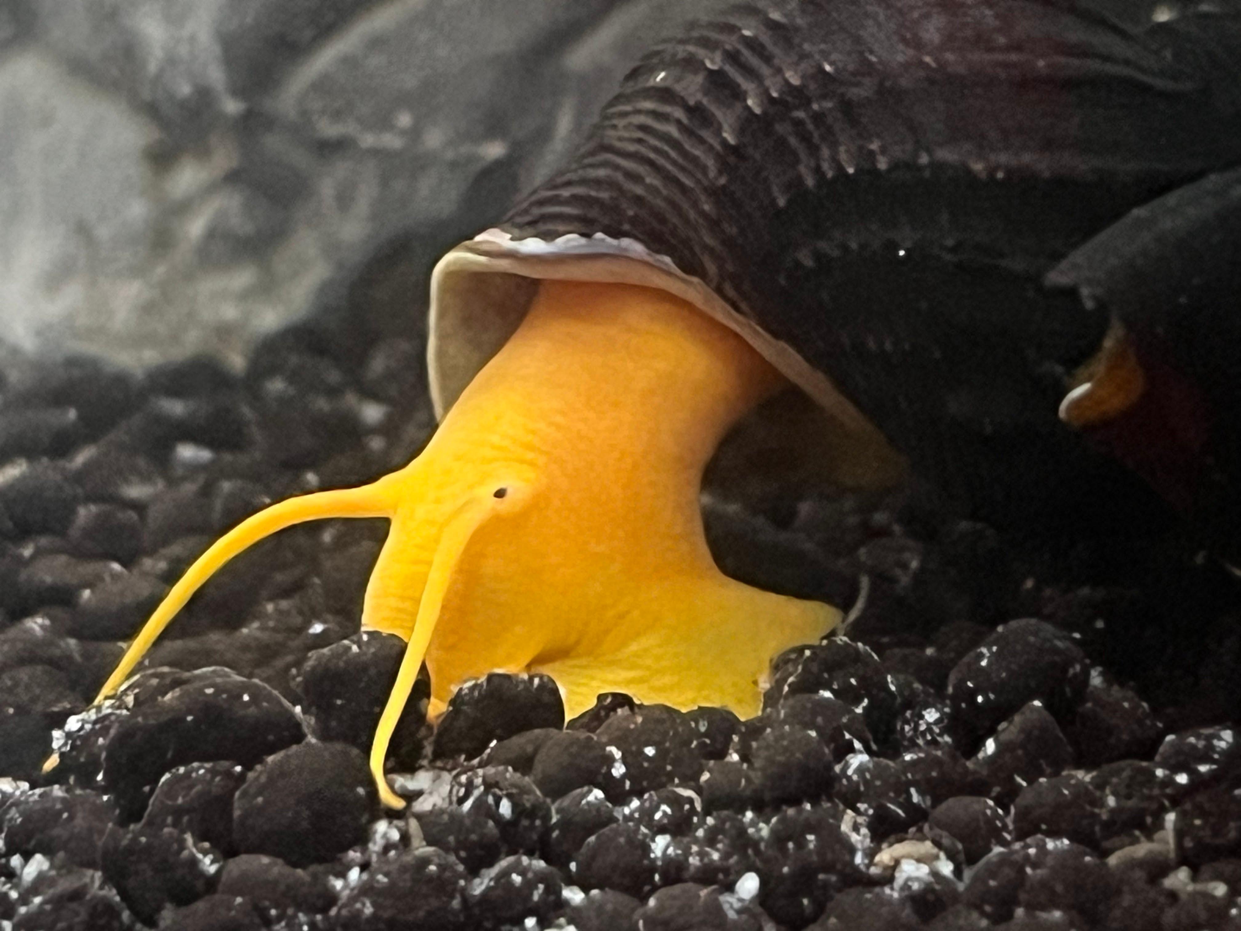 Terrarium Station Image