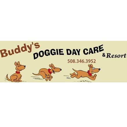 Buddy's Doggie Daycare, Grooming & Boarding