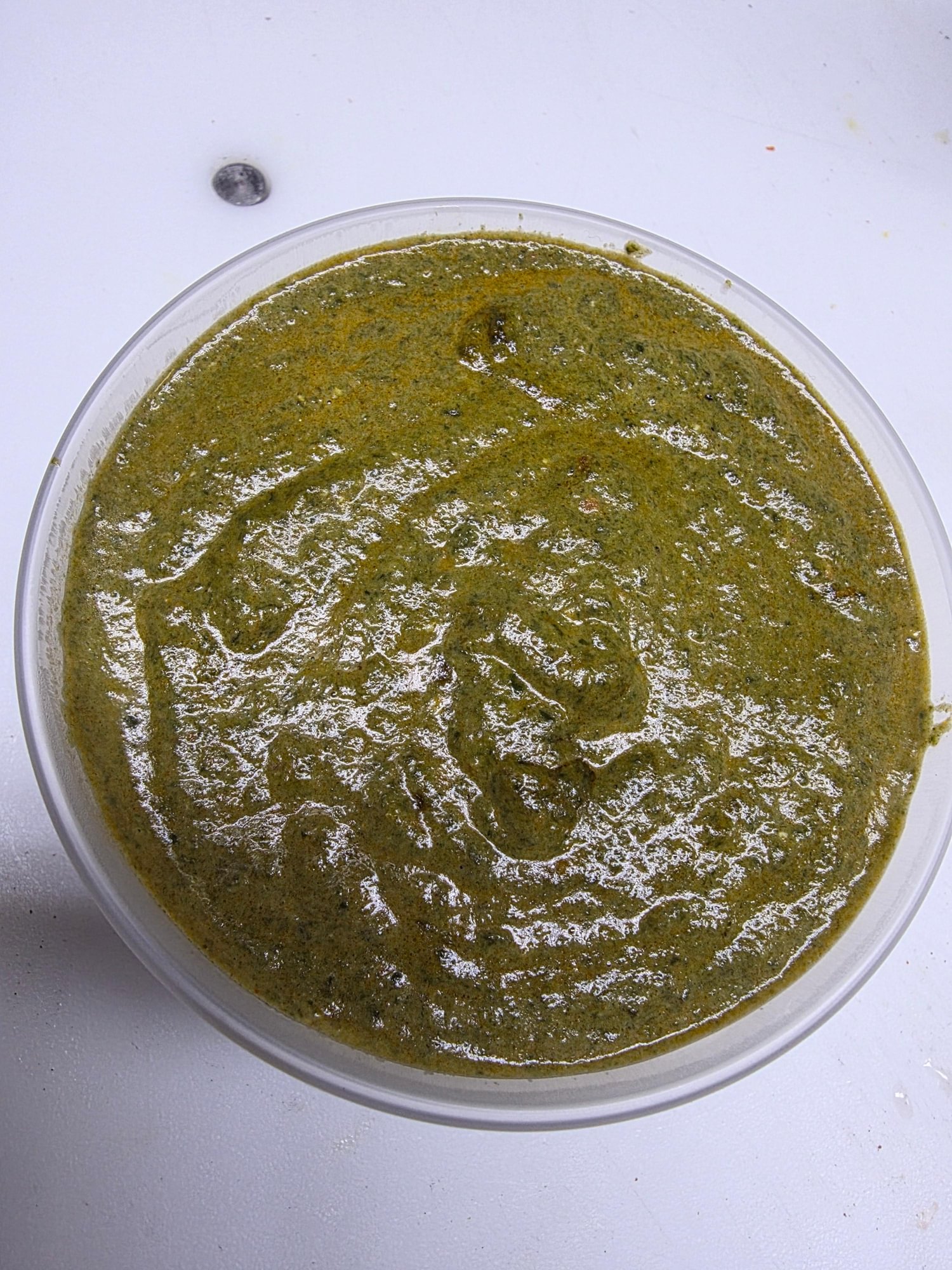 Spinach (G)(V)