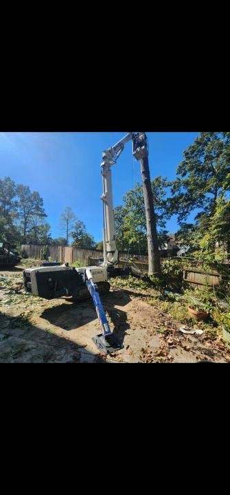 Bob Evans Tree Service Image