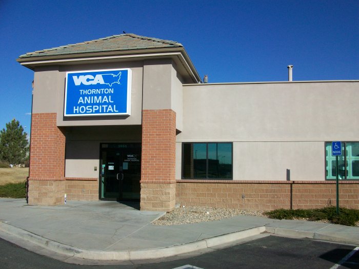 VCA Thornton Animal Hospital Photo