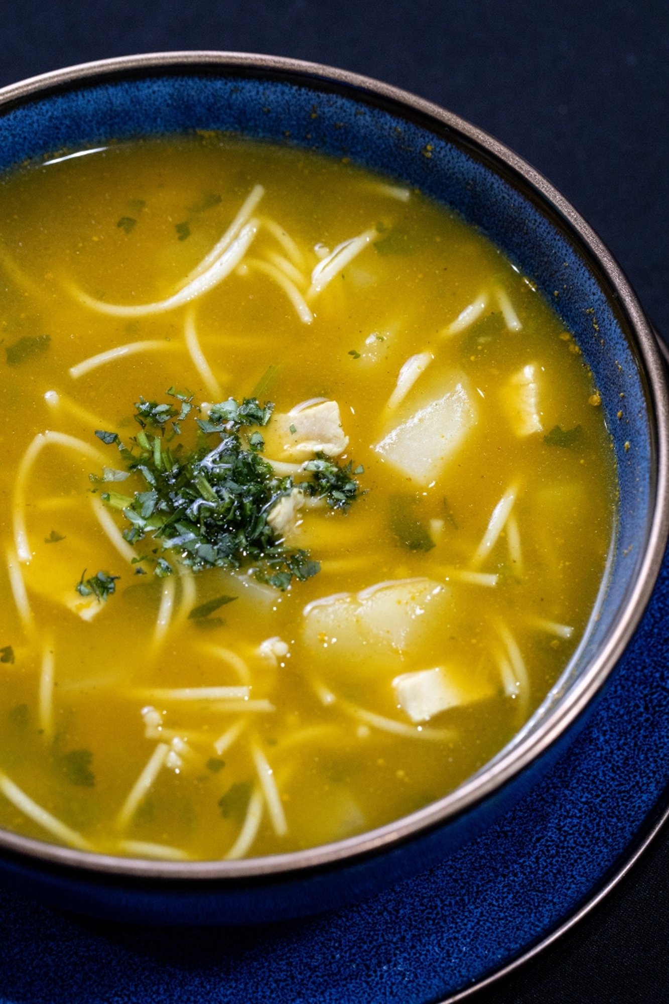 Sopa de Pollo (Grande)